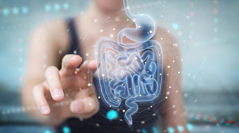 Analisi Microbiota alla Farmacia Pozzetto di Cittadella
