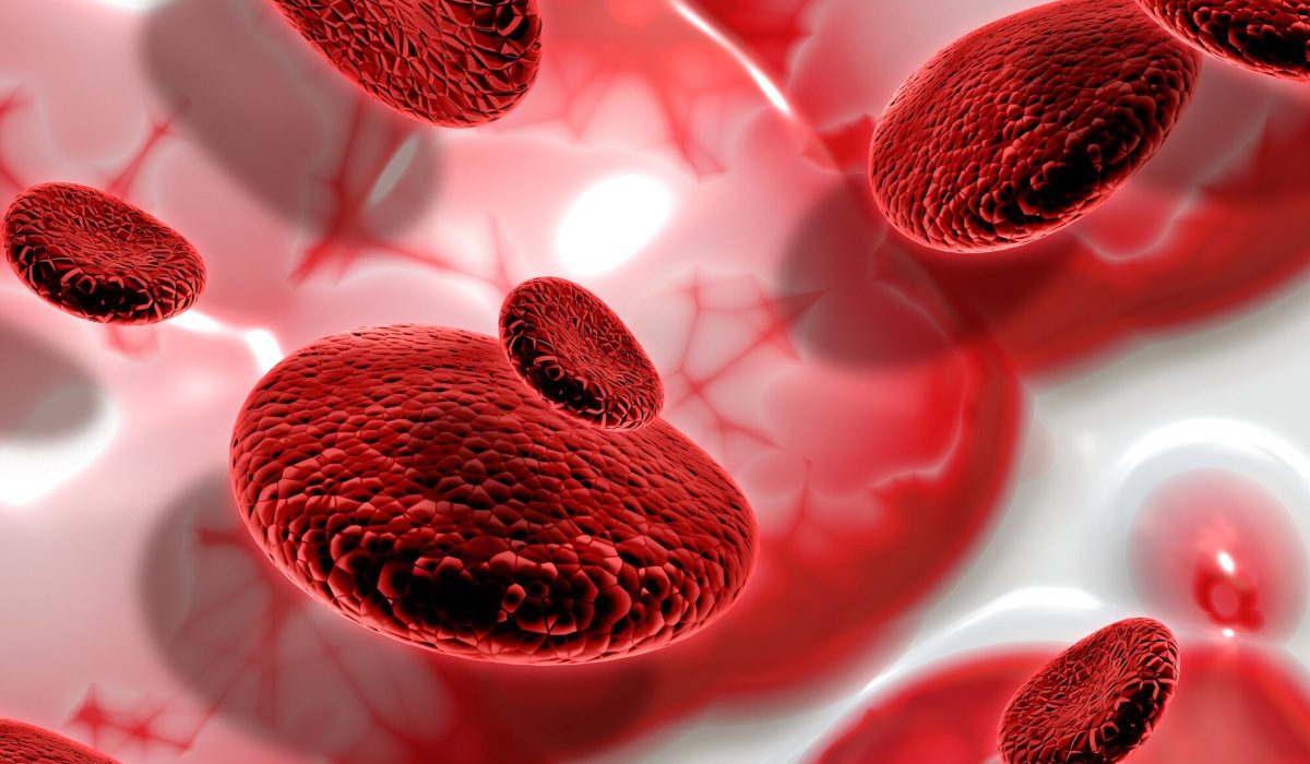Autoanalisi del Sangue alla Farmacia Pozzetto di Cittadella